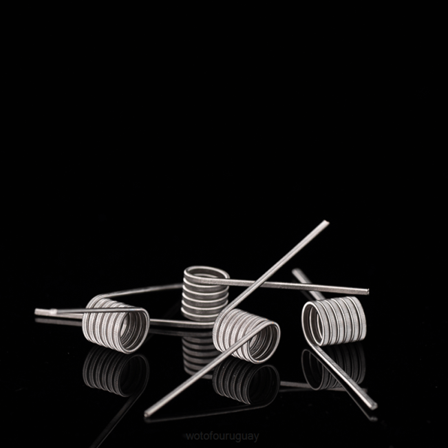 Wotofo Shop Online - Wotofo bobina prefabricada de identificación Clapton fusionado de doble núcleo 0,65 ohmios 5mm 5 uds. B8XT347