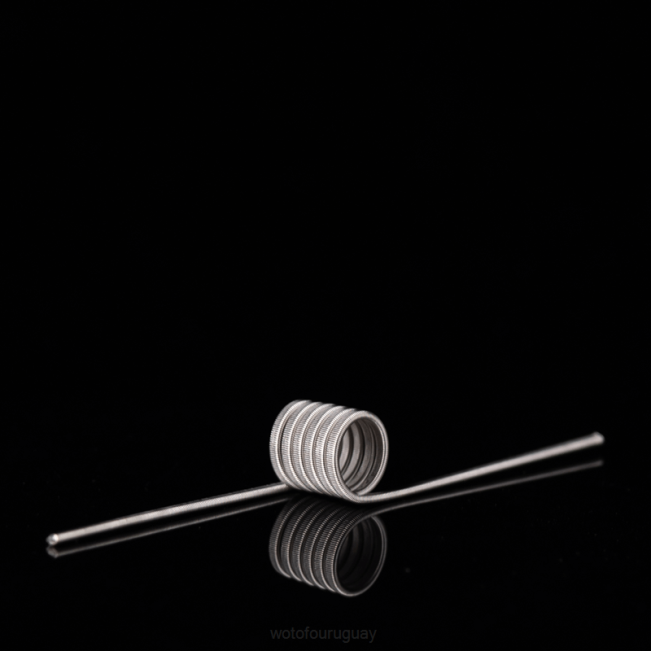 Wotofo Shop Online - Wotofo bobina prefabricada de identificación Clapton fusionado de doble núcleo 0,65 ohmios 5mm 5 uds. B8XT347